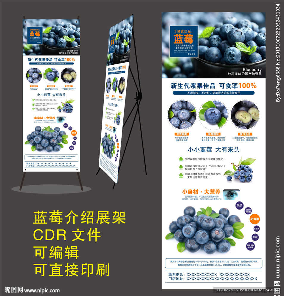 蓝莓介绍展架
