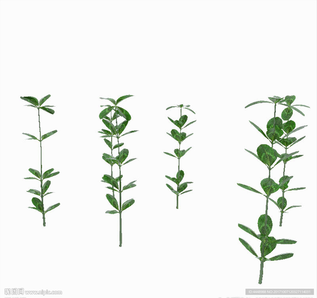 绿苗植物模型