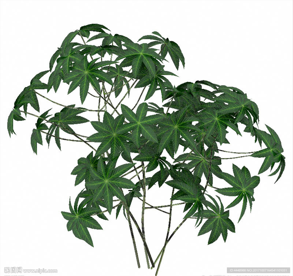 绿色菱形叶片植物模型
