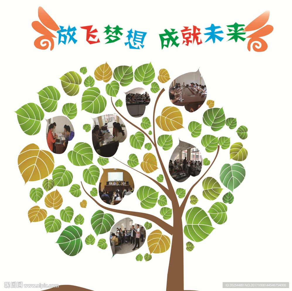 香樟树照片墙