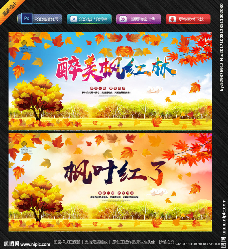 红枫