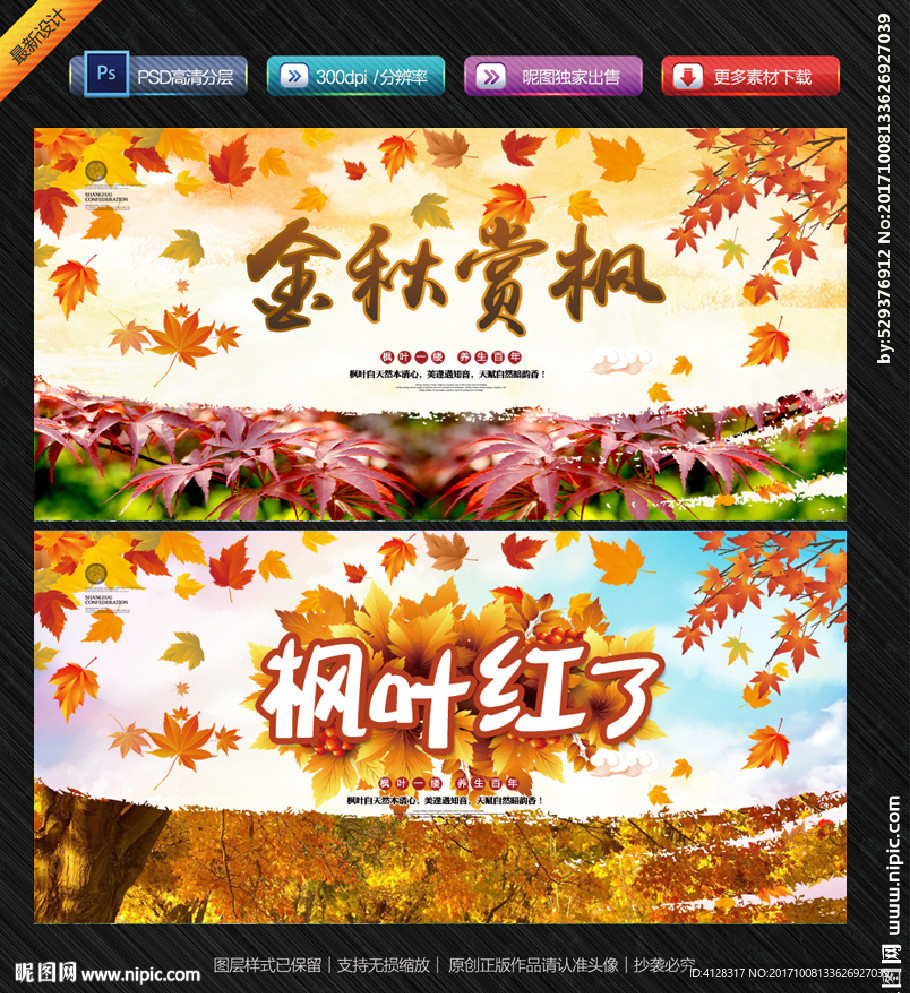 枫叶