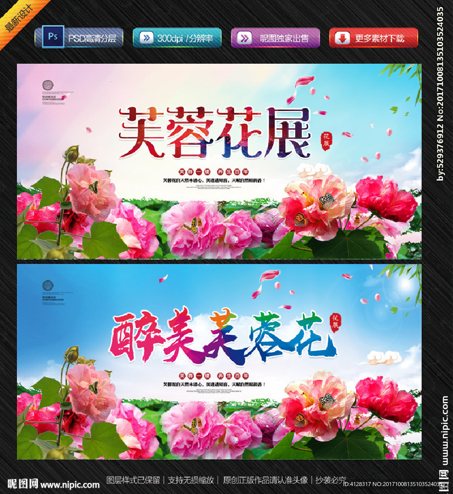 芙蓉花