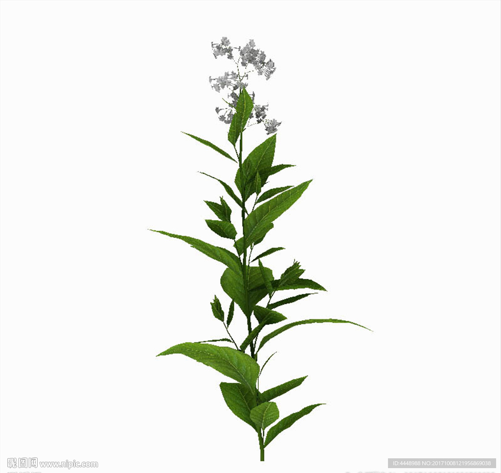 草花庭院花草模型