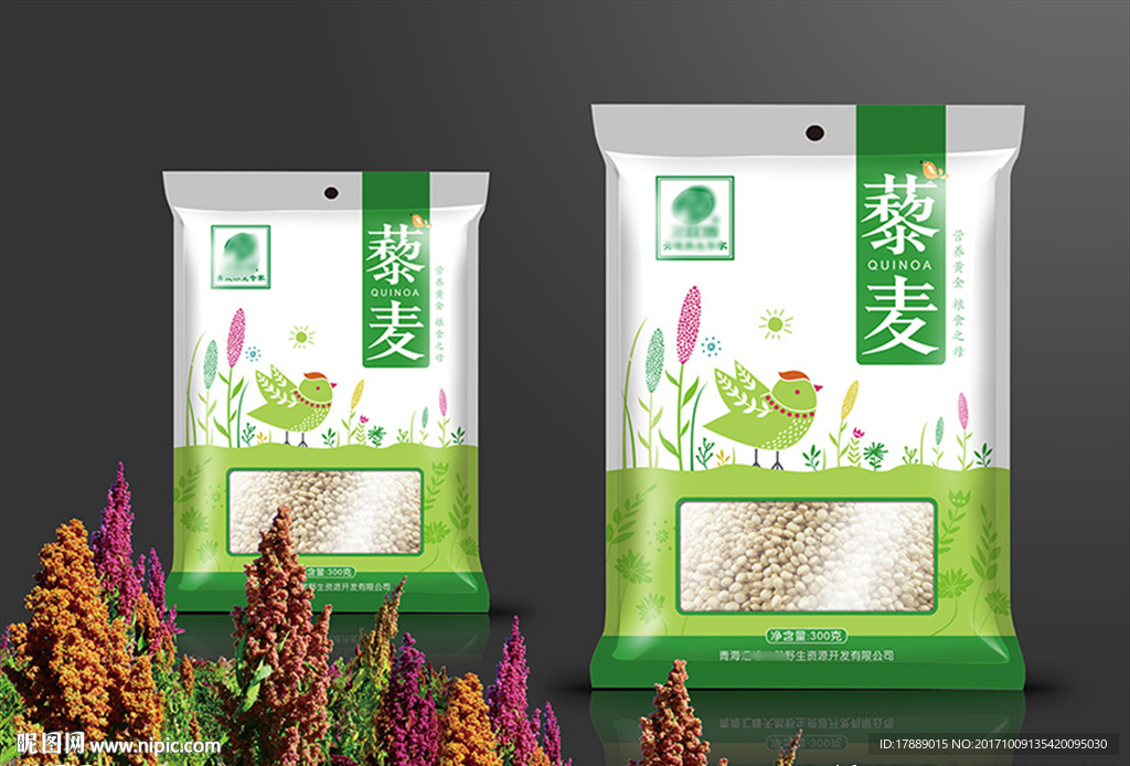 藜麦包装设计（正面矢量平面图）