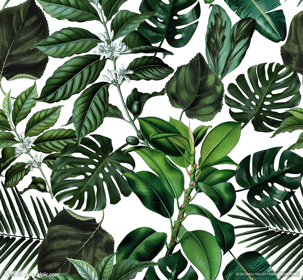 热带叶子植物图案设计
