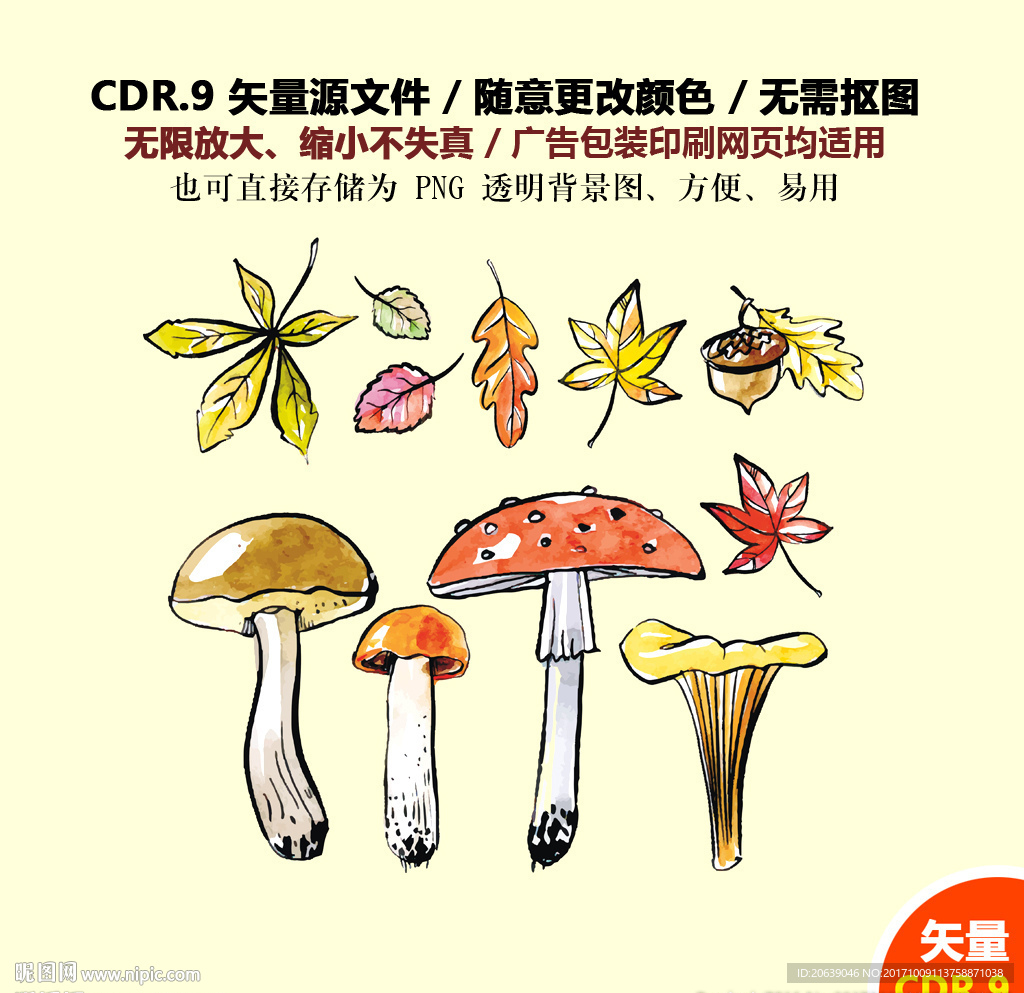 彩色树叶花草果子蘑菇矢量图