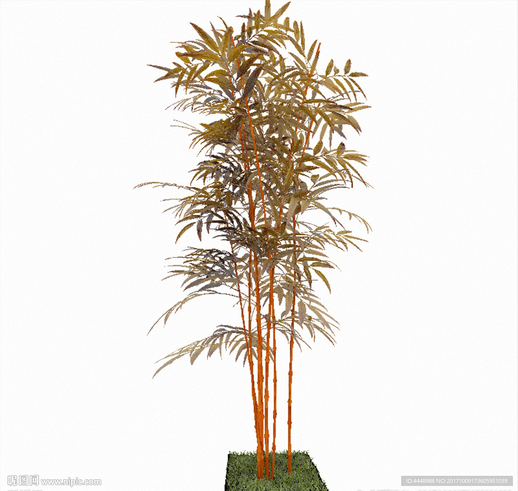 竹子植物模型