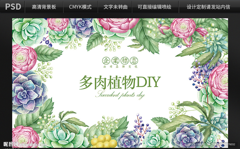 多肉植物DIY背景设计
