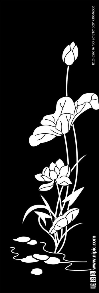 荷花