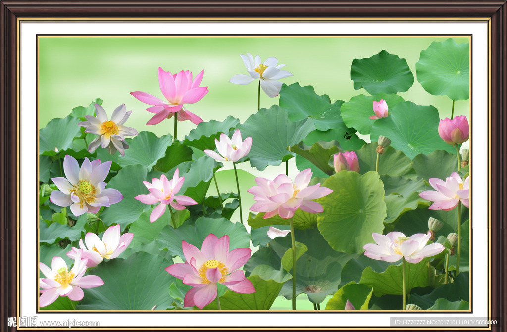 荷花壁画