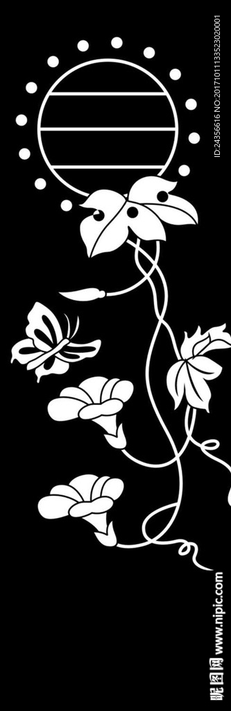 牵牛花
