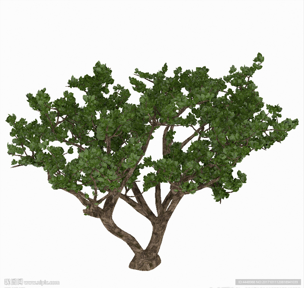 实木古树模型