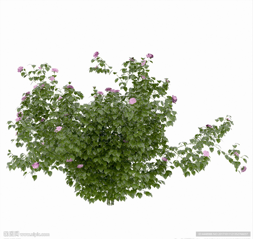 绿化带植物模型