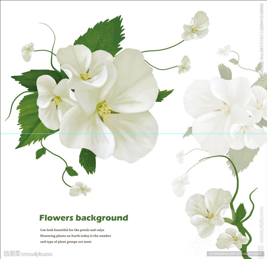 瓷砖花片图片