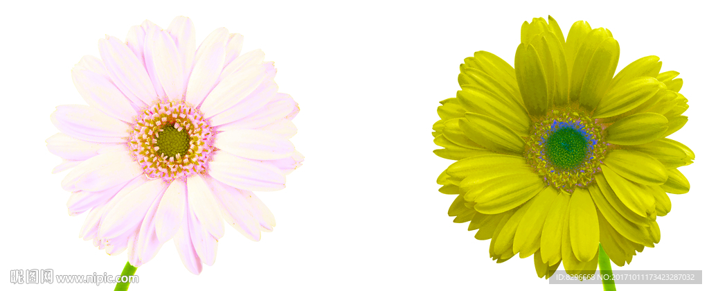 瓷砖花片图片