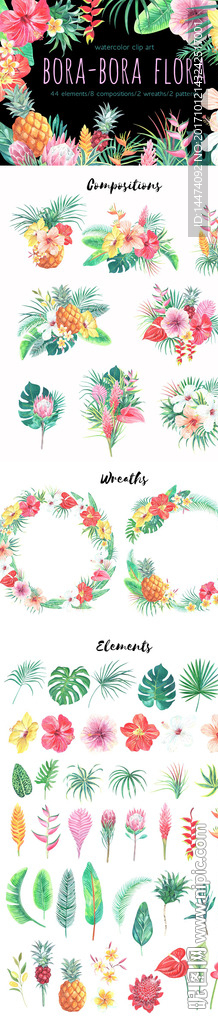 手绘水彩植物花朵