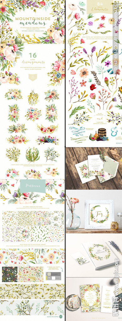 手绘水彩植物花朵