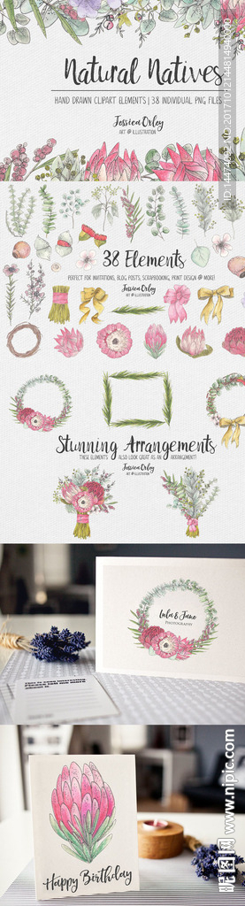 手绘水彩植物花朵