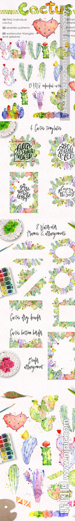 手绘水彩植物花朵