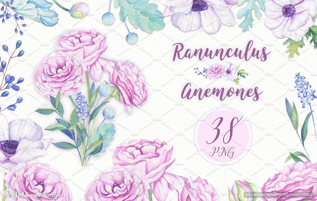 手绘水彩植物花朵