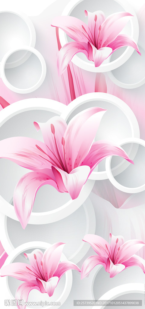 玄关粉红百合圆圈