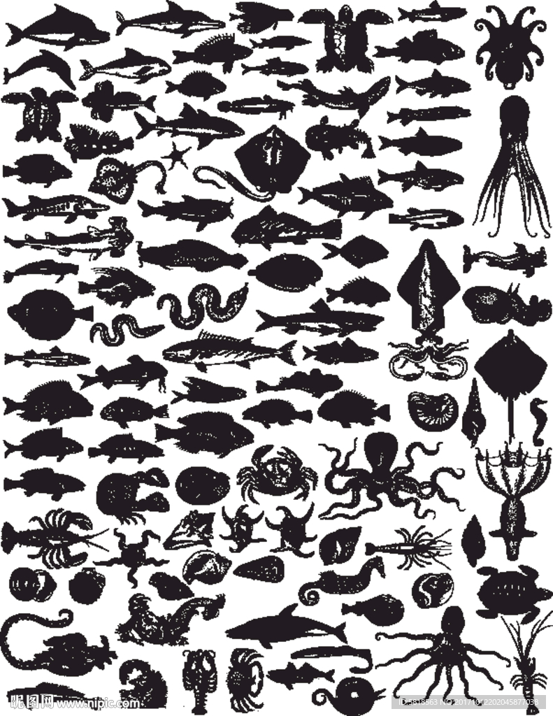 手绘海底100种生物矢量