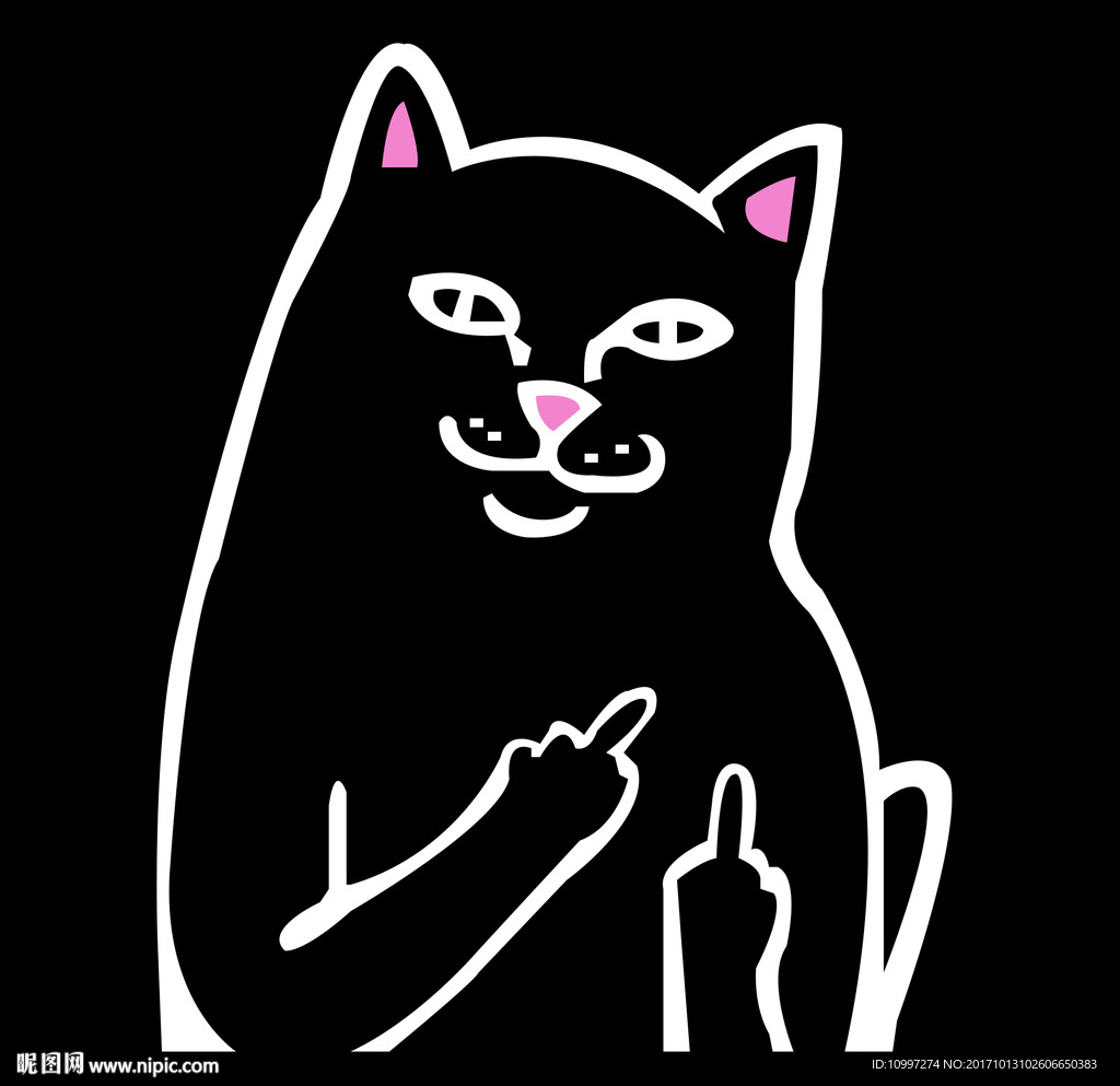 猫咪