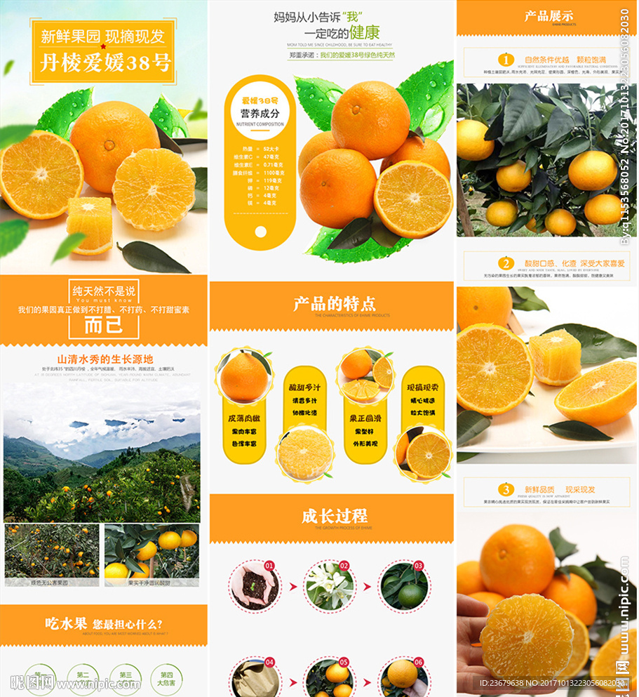 爱媛 水果详情页