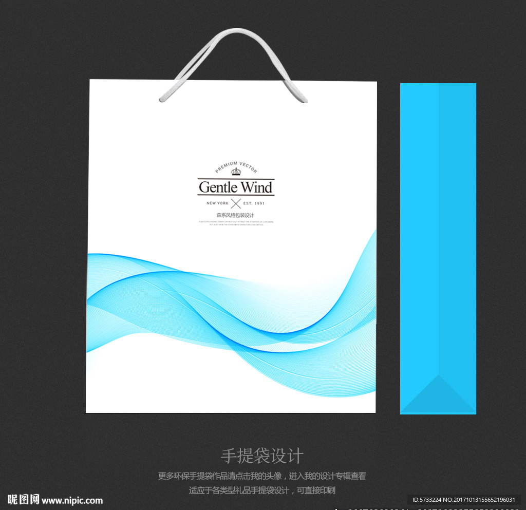 现代清爽手提袋包装