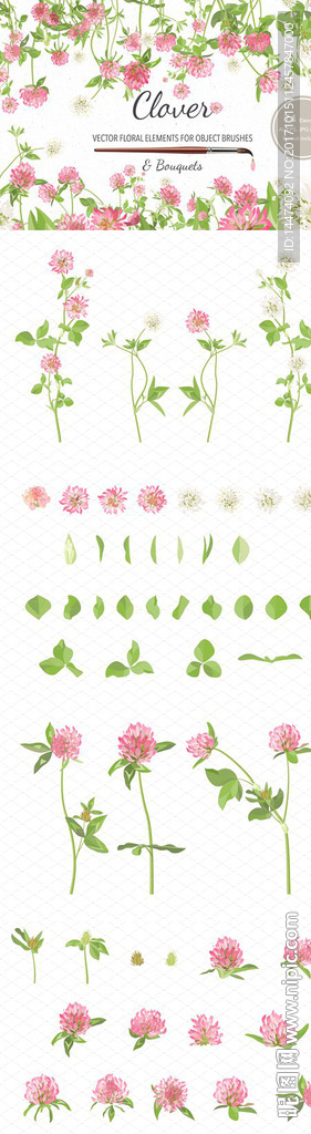 手绘水彩植物花朵