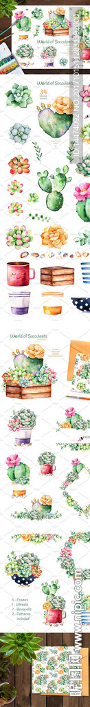 手绘水彩植物花朵