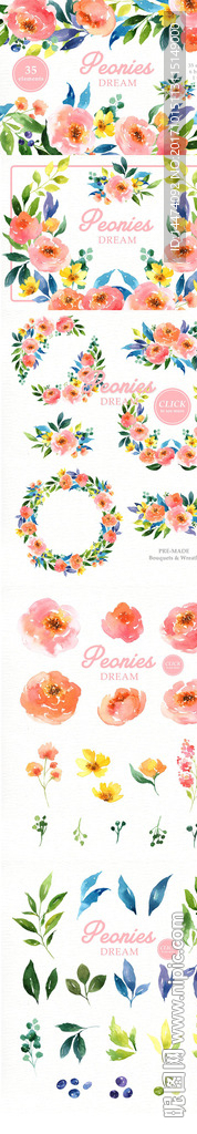 手绘水彩植物花朵