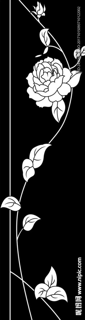 玫瑰花