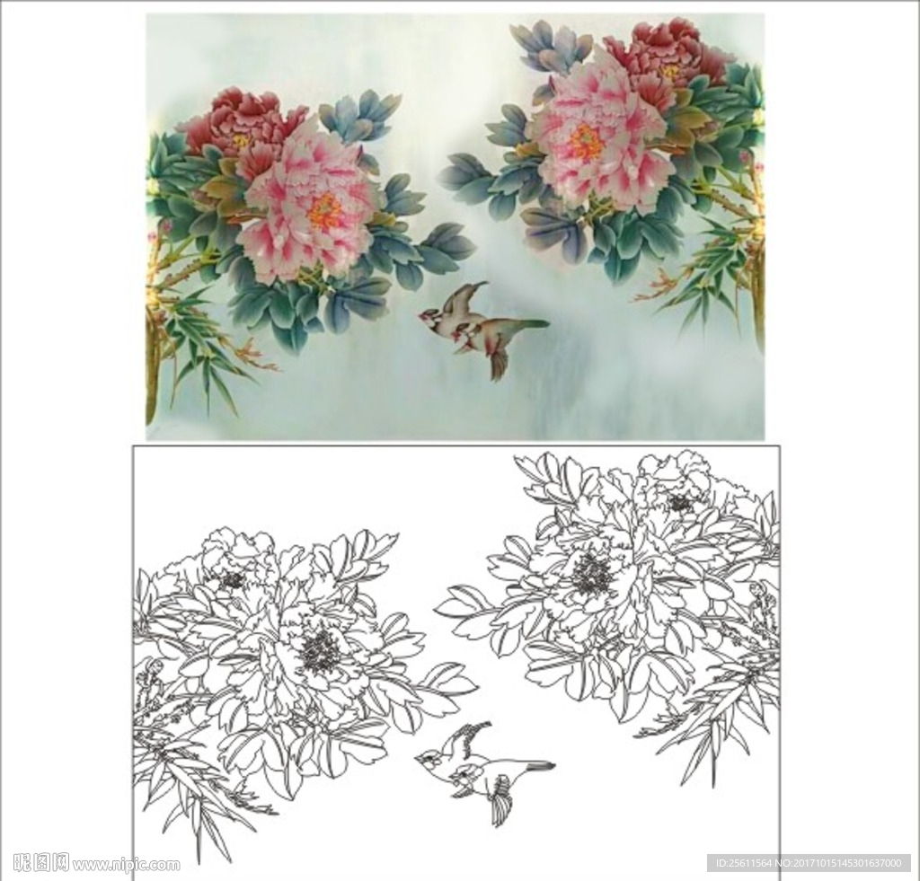 牡丹花