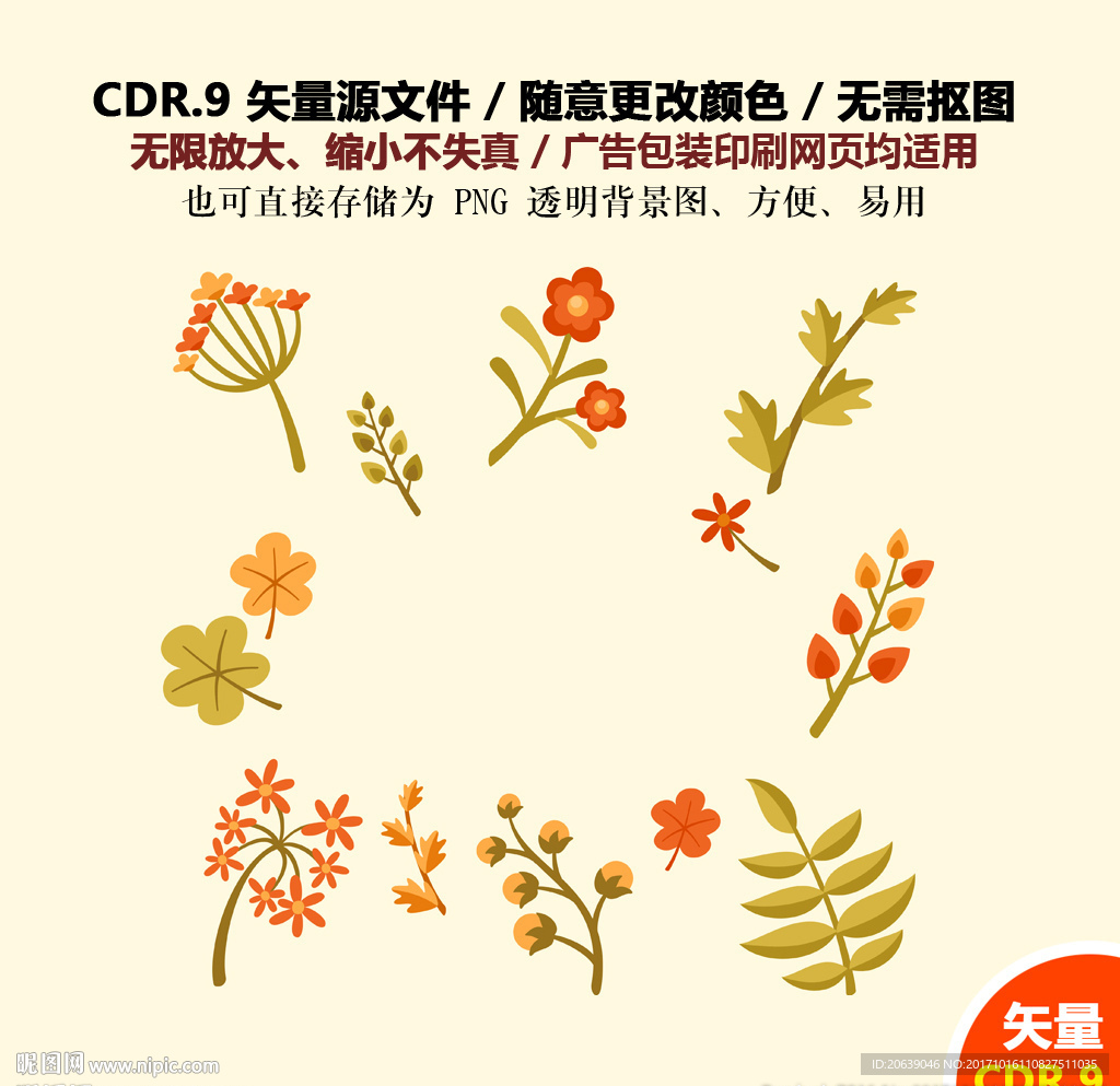 彩色树叶花草果子矢量图