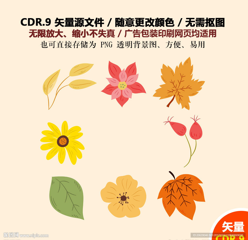彩色树叶花朵花草矢量图