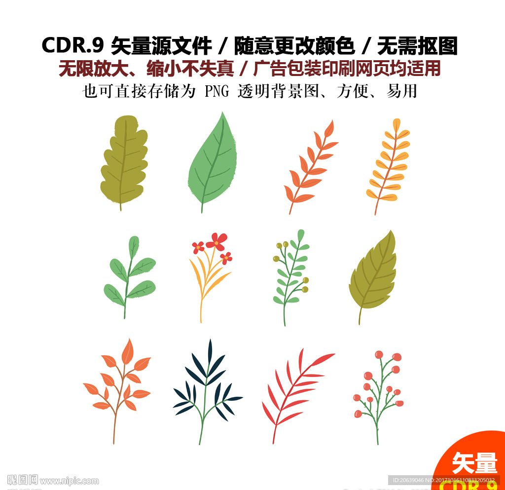 精美手绘树叶花草矢量图