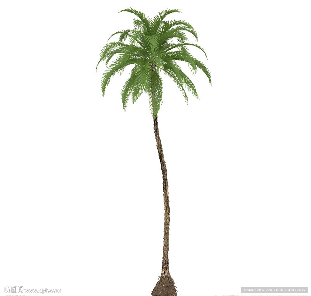 棕榈模型