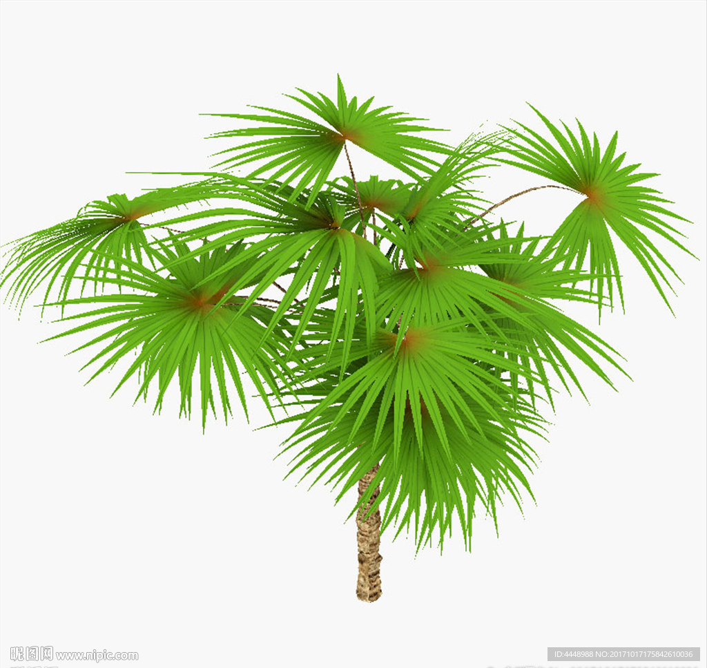 绿色棕榈树模型