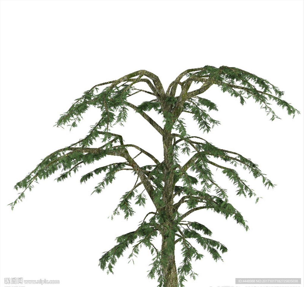 大松树模型