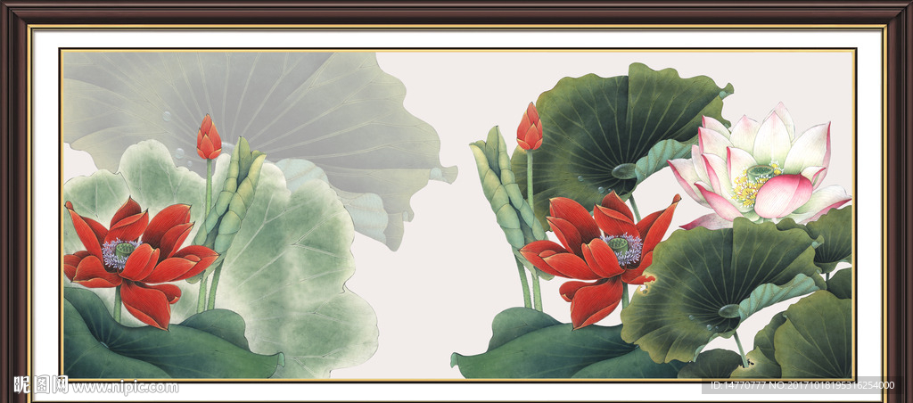 荷花图