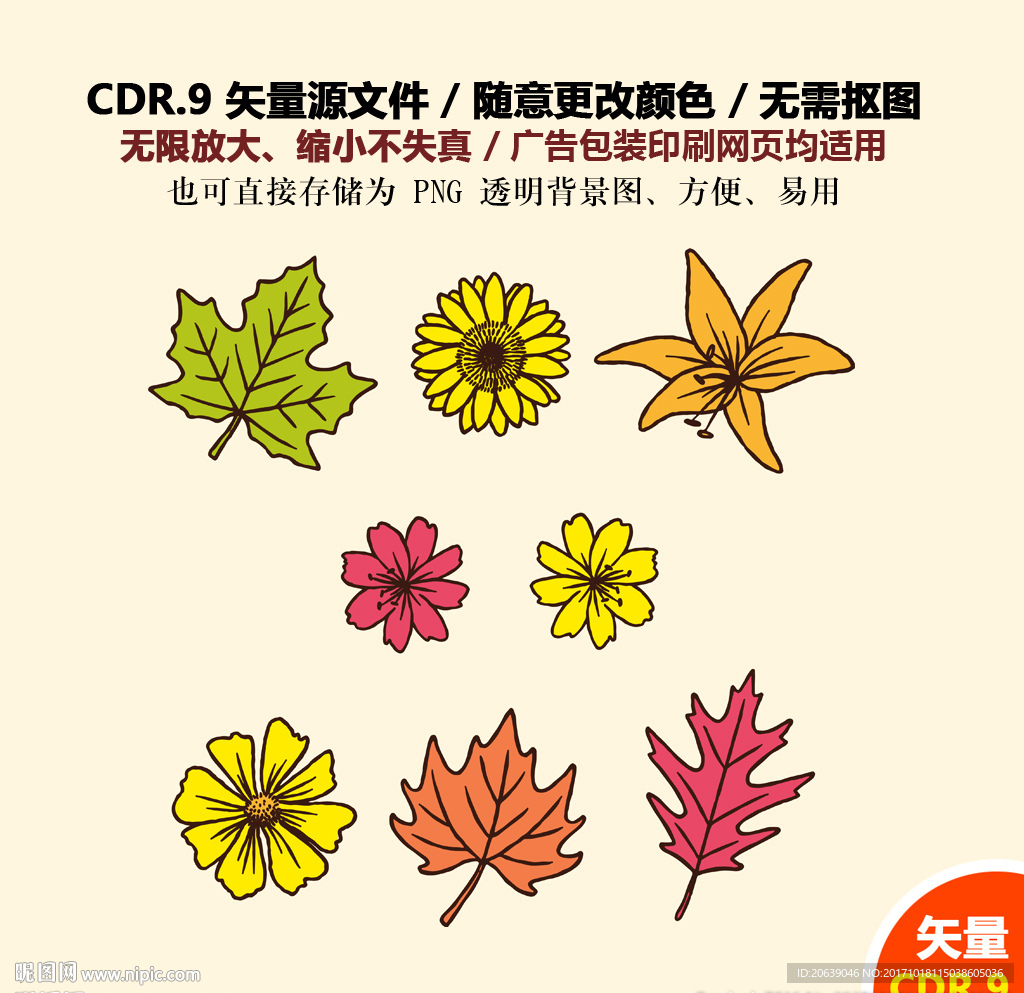 精美彩色树叶花朵花草矢量图