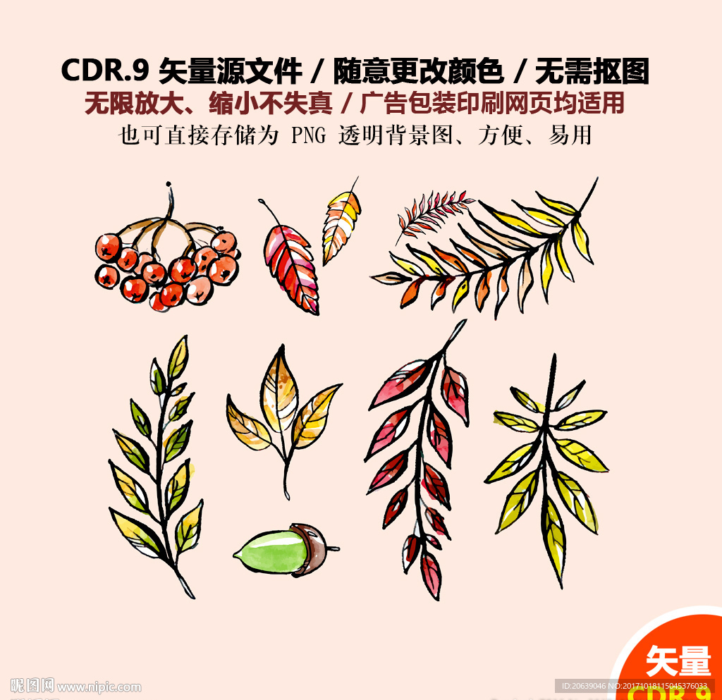 精美手绘树叶花草矢量图