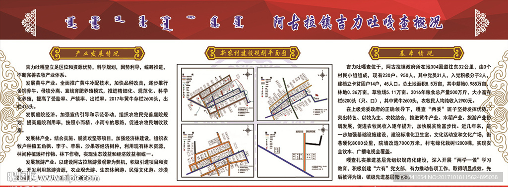 基本情况