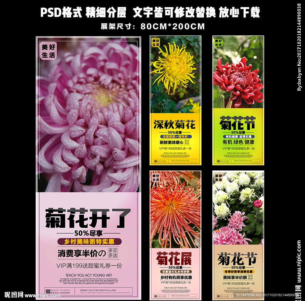 菊花开了展架易拉宝设计