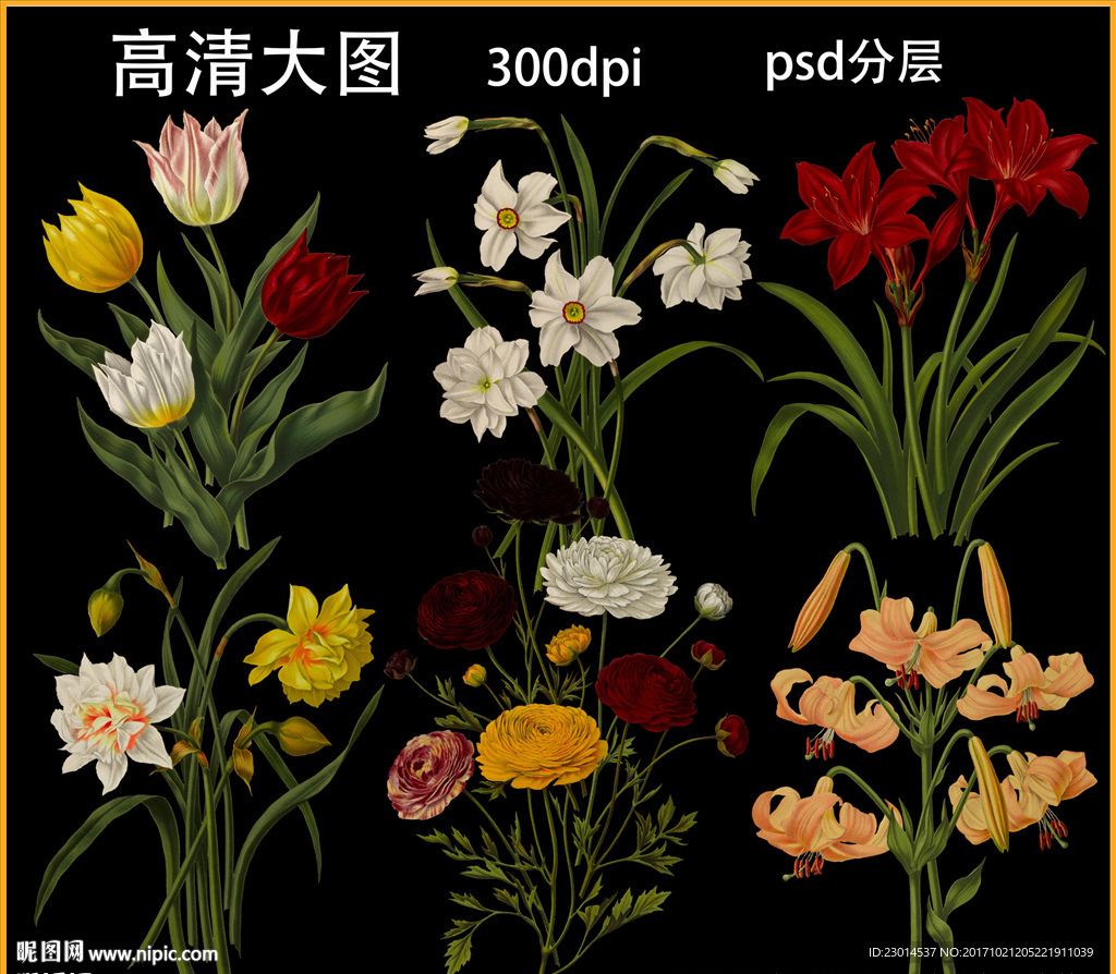 手绘植物花卉素材