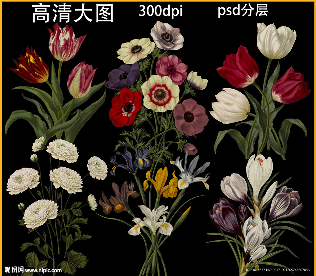 手绘植物花卉素材