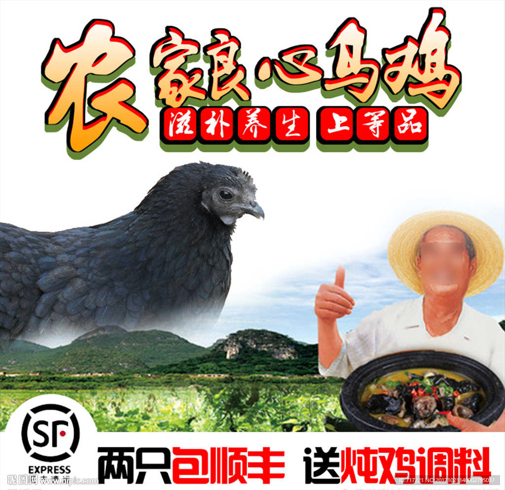 乌鸡养殖基地创意车图模版