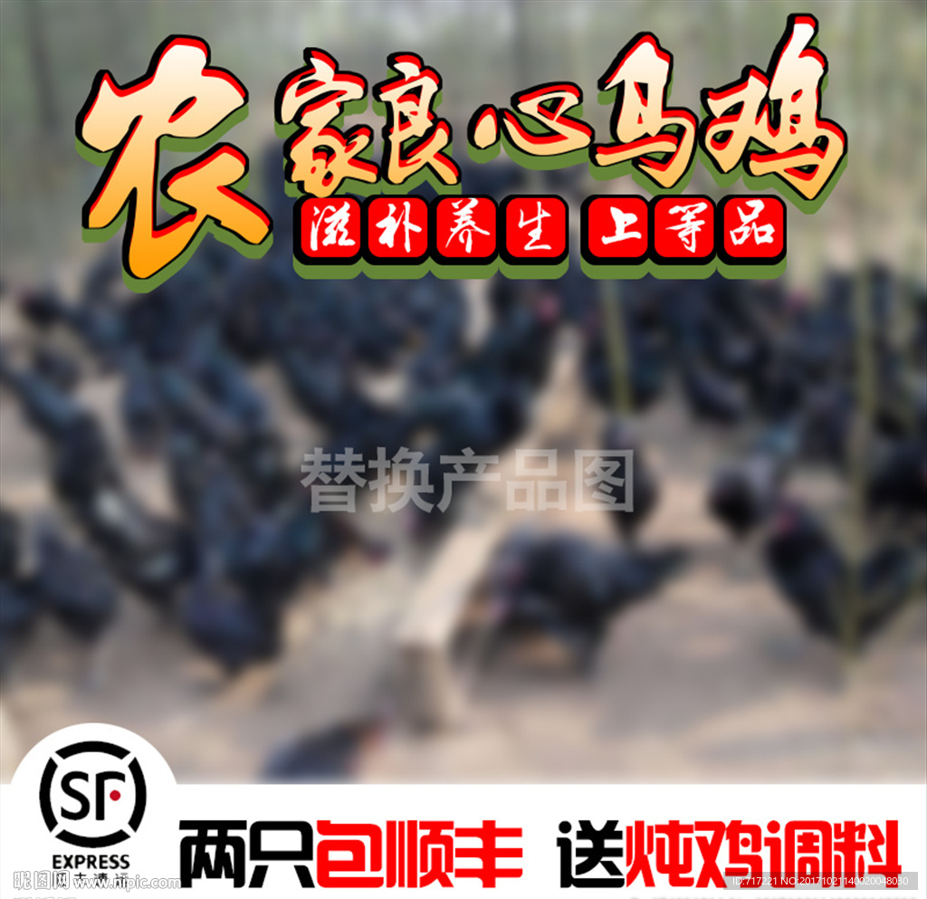 乌鸡养殖基地创意直通车主图设计